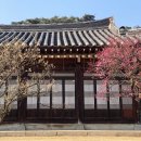 성정5단지시장 | 3월일상(4) 이건 고양이가 아닌데??