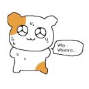 김여사장
