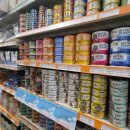 펫클럽 양정점 이미지