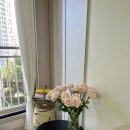 홍대입구역 8번 출구 앞 | 홍대 꽃집 홍대입구역 8번출구 가성비 꽃트럭(내돈내산)