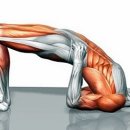 코어짐 피트니스 이미지