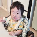 안전벨트 | 일어나는 아기 필수템 | 트립트랩, 야마토야 호환 ‘트헤져 세이프 척척 안전벨트’ 내돈내산 후기