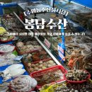 봉남이네 | 수원농수산물시장 봉남수산 쭈꾸미 새조개 킹크랩 내돈내산 후기
