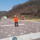 백야리산림욕장 이미지