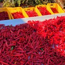 태양환경 이미지