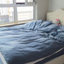 청호세탁소 이미지