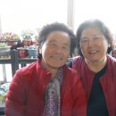 부곡1리 이미지