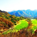 골프킹 아카데미 이미지