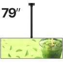 상업용 79 이미지