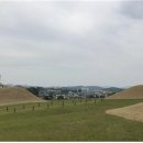 460011 네이버블로그