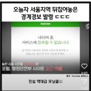 [결론]오발령 으로 마무리 ㅡ 이미지