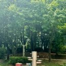 사우근린공원 화장실 이미지