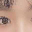 하파크리스틴 홍대점 이미지