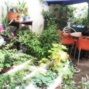 루디아크리닝 이미지