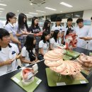 계명대로 이미지