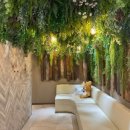 멍실장 | 압구정피부과 인모드 FX, FORMA 진행 후기!! + 멍, 효과, 비용 포함