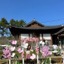 충무로 한류문화거리 | 영암왕인문화축제 주말 나들이 방문 후기