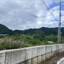 태린약국 이미지