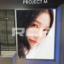 프로젝트엠신세계
