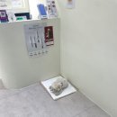 올래퍼피 네이버블로그
