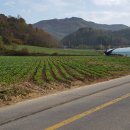 평화1리 이미지