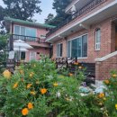 마당이바다 이미지