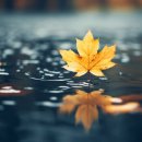 산내중학교 이미지