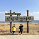 신성리 갈대받 진입도로 | 충남 서천 가볼만한곳 신성리갈대밭 영화 공동경비구역JSA 촬영지 다녀온 후기
