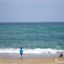 동해바다 이미지