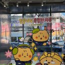 땡큐뷰티플레이스 | 올리브영 망곰 콜라보 트렌드팟 by 홍대 후기