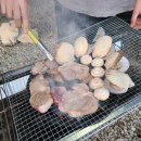 소나무 황토빌 이미지