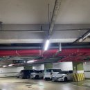 대우닭갈비 | [내돈내산] 몽촌 닭갈비 후기 (2회 방문)