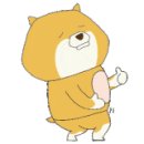 벤지애견 이미지