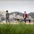 파이리코 이미지