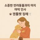 (주)젠틀펫 이미지