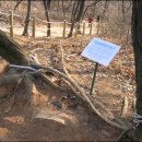 사랑의연리근 이미지