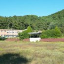 해제동초등학교 이미지