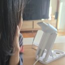 꽃분이 헤어 | 휴스톰 드라이기 · 꽃분이드라이기 · 핸즈프리드라이기추천 – 드라이기 거치대 & 핸즈프리 거치대...