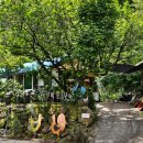 청정민박 이미지