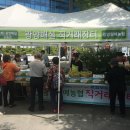 광양매실한과