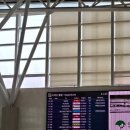 디디치킨오산 | 혼자 중국 장가계 자유여행 시작