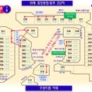 토마솔리