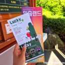 일출랜드식물원 | 제주 일출랜드 소요시간+꿀팁★ 스탬프 투어/족욕까지 완벽정리