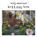 365 플러스 봉담현대점 | 365일 베이비페어인 링크맘 용인 , 아이들과 함께 쇼핑다녀왔어요