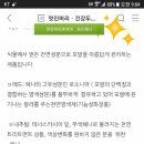 퀸즈헤나 Daum카페