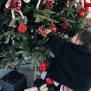 포쉬민커피 이미지