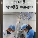 하태흥반려동물의료센터 | 인천 만수동 동물병원 하태흥 반려동물의료센터 만수본점 진료시간 접근성 이용후기
