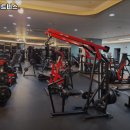 더엠 휘트니스 이미지