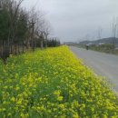 금호강변로 이미지