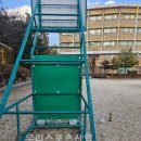 숲속초등학교 이미지